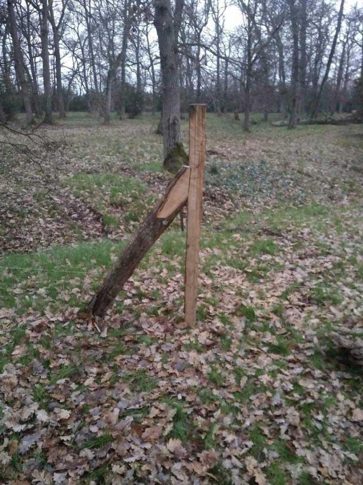 Vente de piquets Toulouse