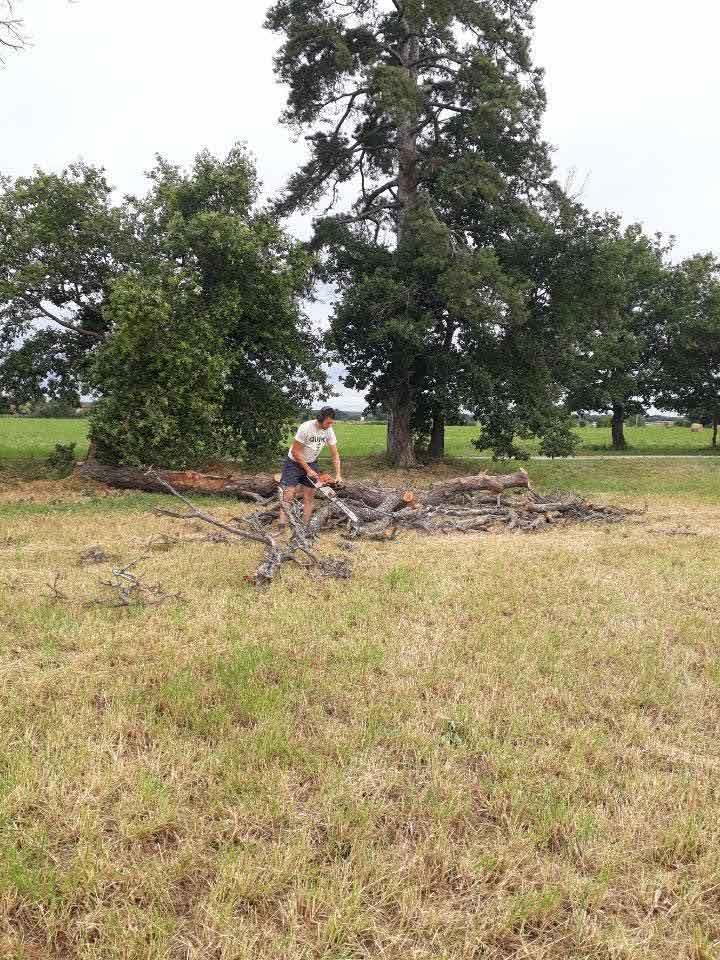 Abattage suite à une tempête Toulouse