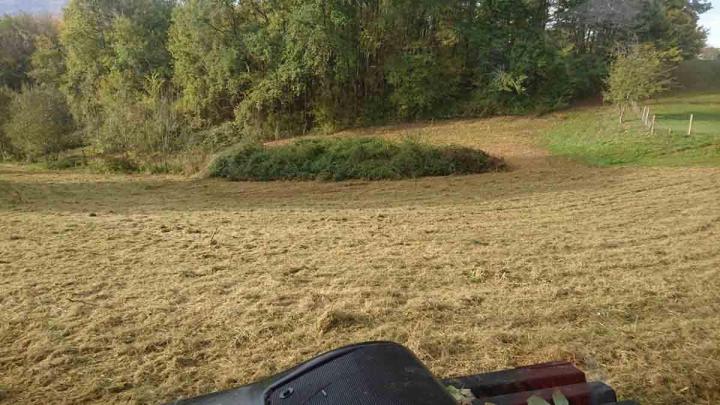 Débroussaillage manuel Toulouse