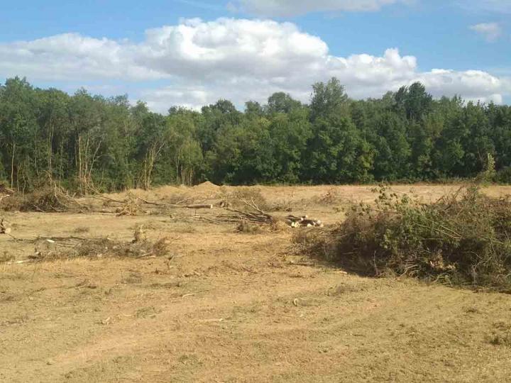 Abattage de bois Toulouse