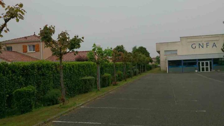 Taille d'arbre d'une école Toulouse