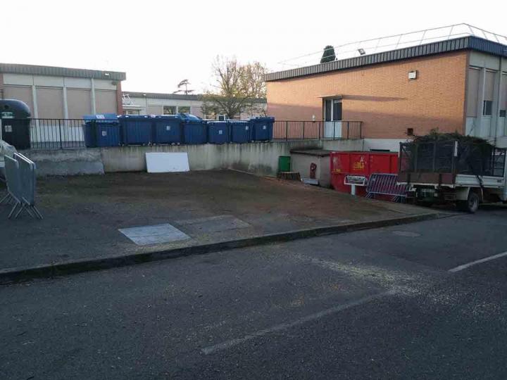 Abattage de gros pin Toulouse