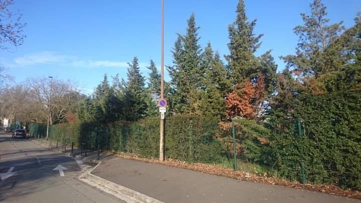 Broyage de sapin Toulouse