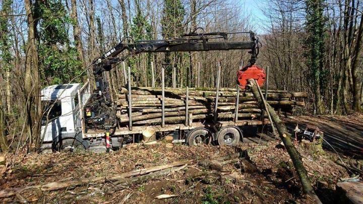 Évacuation avec camion Toulouse