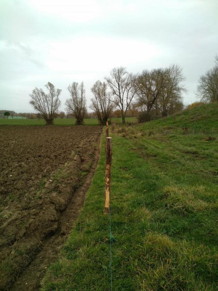 Spécialiste en vente de piquets Toulouse