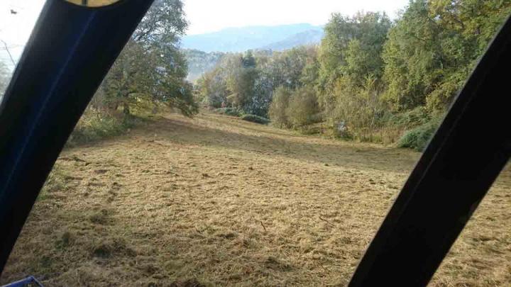 Débroussaillage manuel Toulouse