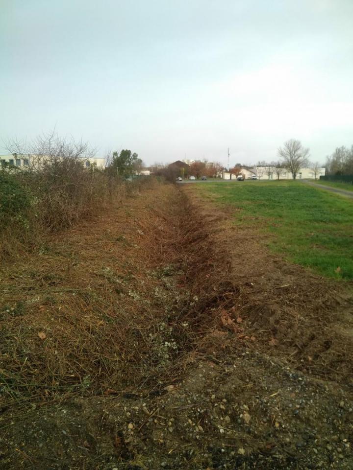 Débroussaillage manuel Toulouse