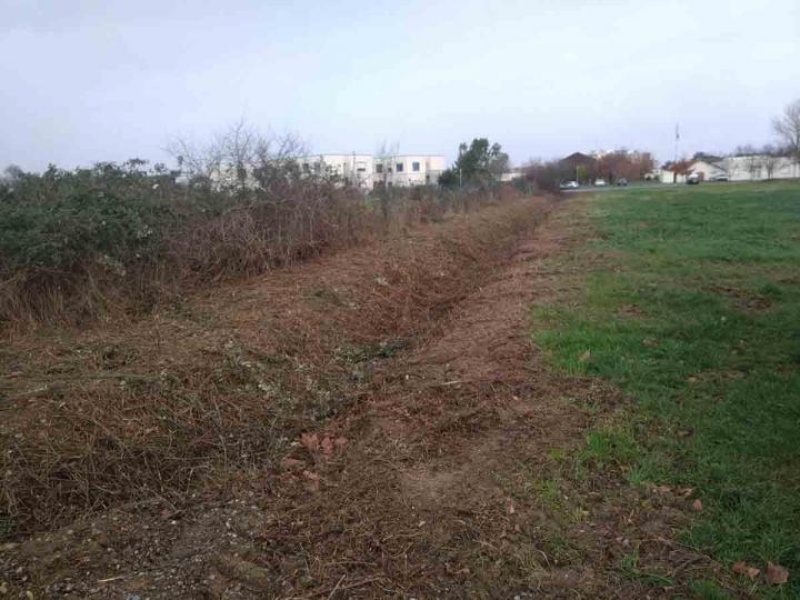 Débroussaillage manuel Toulouse