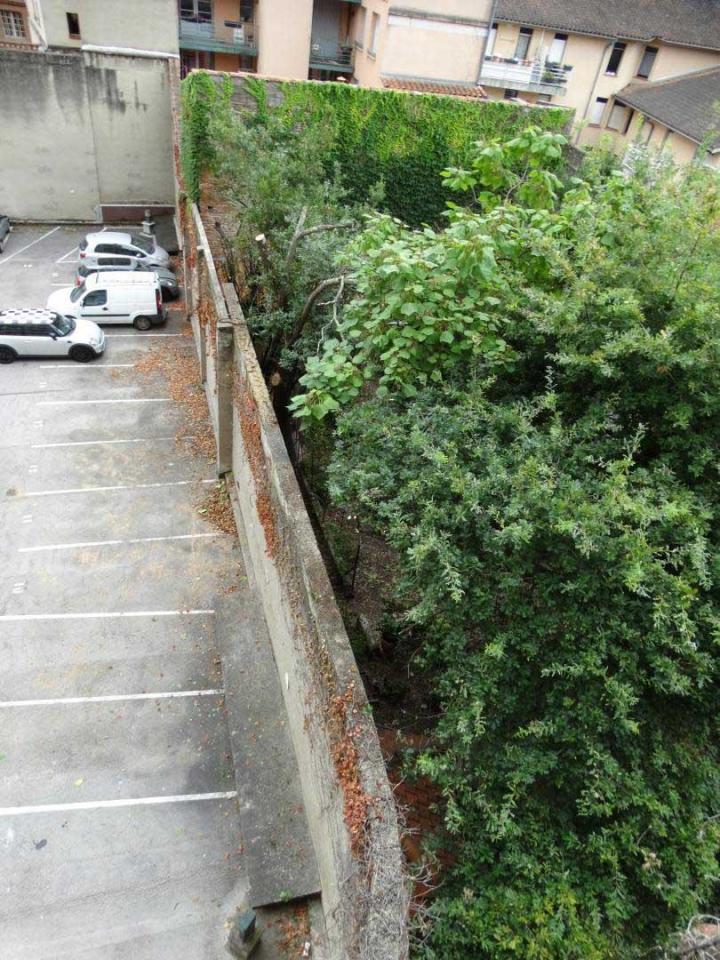 Abattage et taille de haie Toulouse