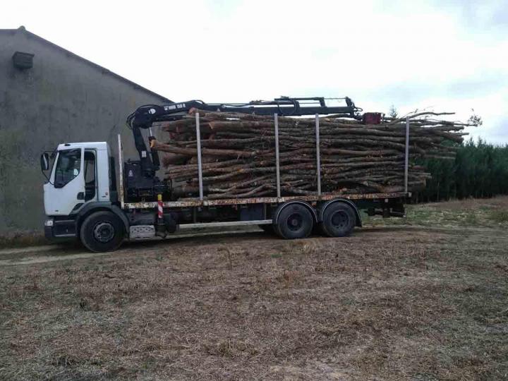 Évacuation avec camion Toulouse