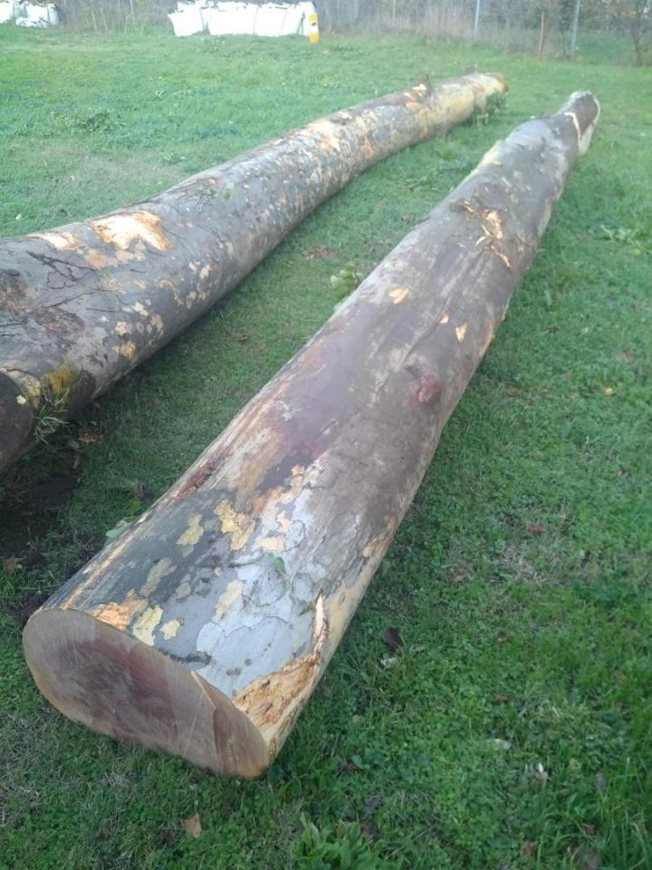 Évacuation avec camion Toulouse