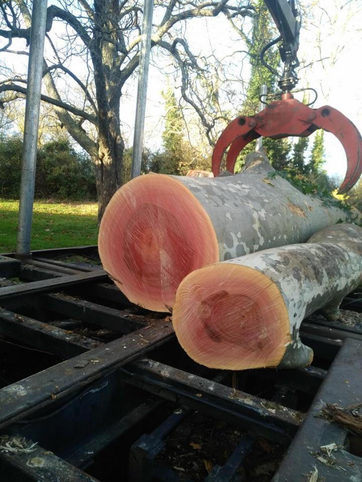 Évacuation avec camion Toulouse