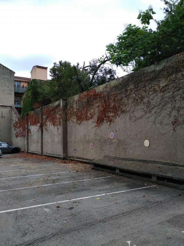 Abattage et taille de haie Toulouse