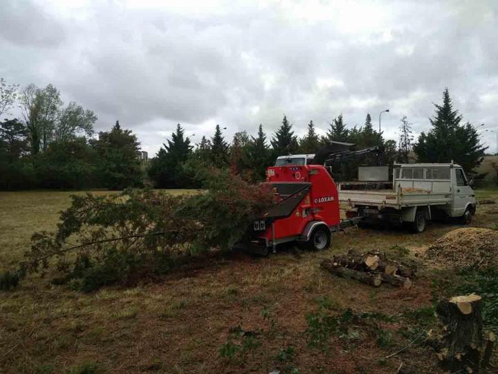 Broyage de sapin Toulouse