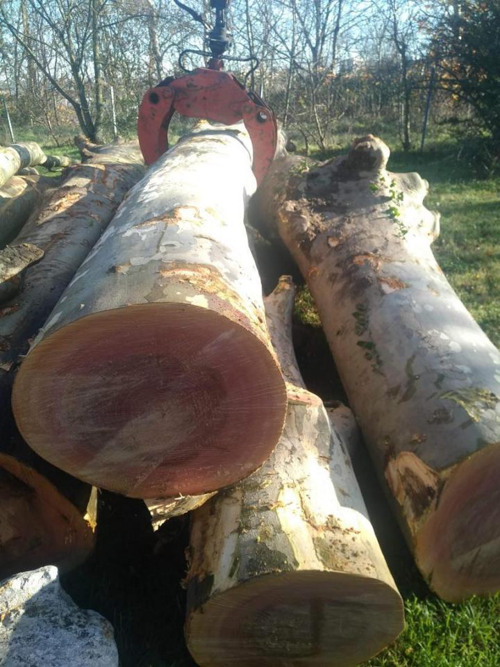 Évacuation avec camion Toulouse