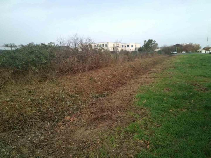 Débroussaillage manuel Toulouse