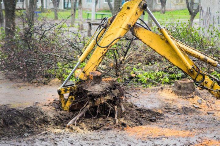 Dessouchage d’arbres Toulouse