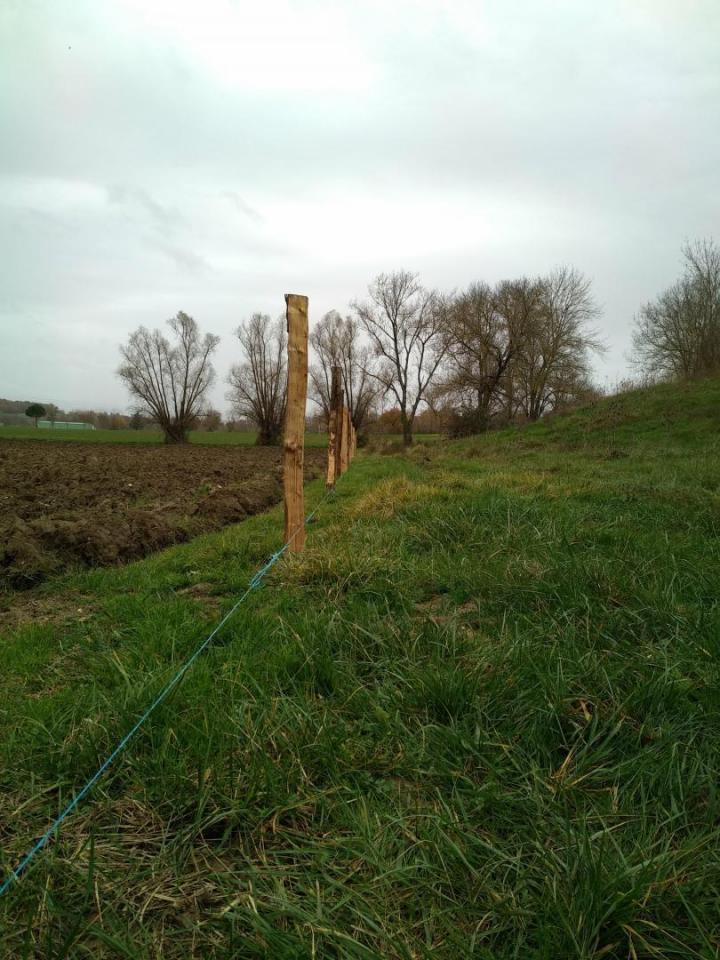 Vente de piquets Toulouse