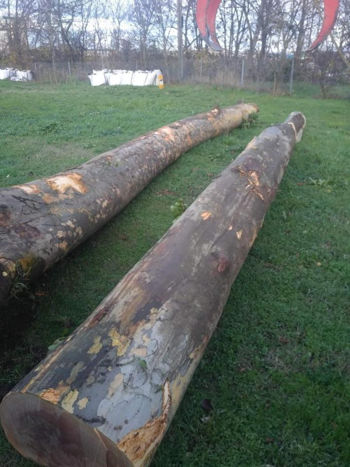 Évacuation avec camion Toulouse