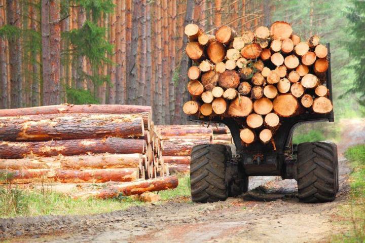 Vente de bois de chauffage Toulouse