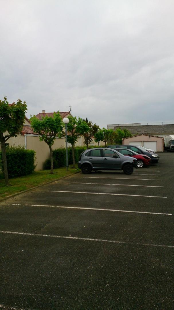 Taille d'arbre d'une école Toulouse