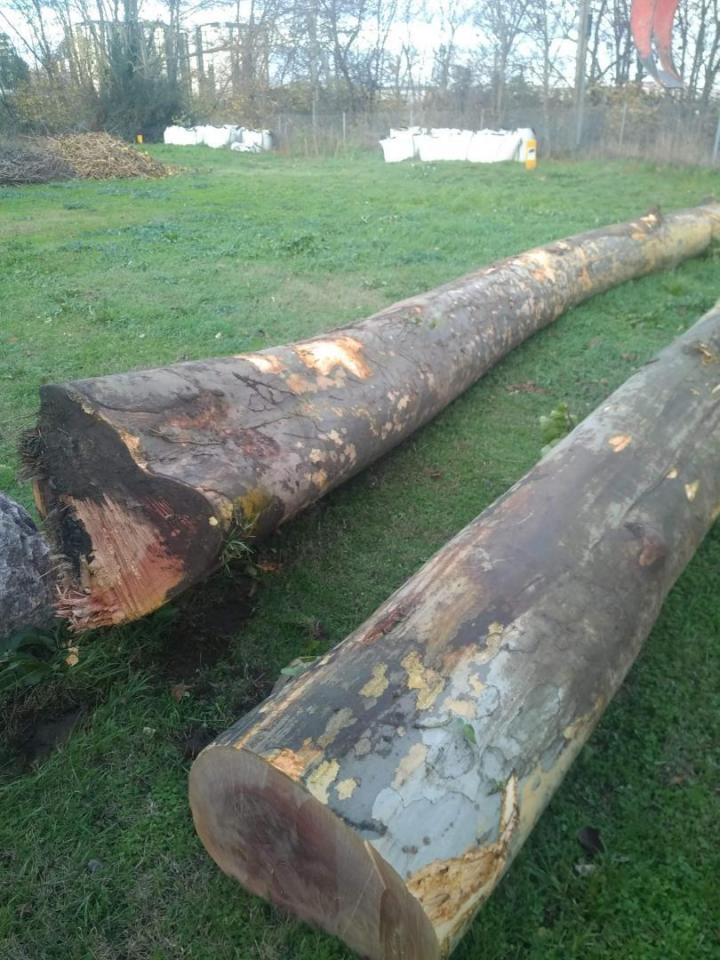 Évacuation avec camion Toulouse