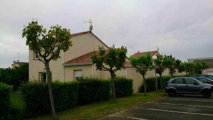 Taille d'arbre d'une école Toulouse