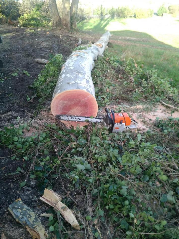 Évacuation avec camion Toulouse