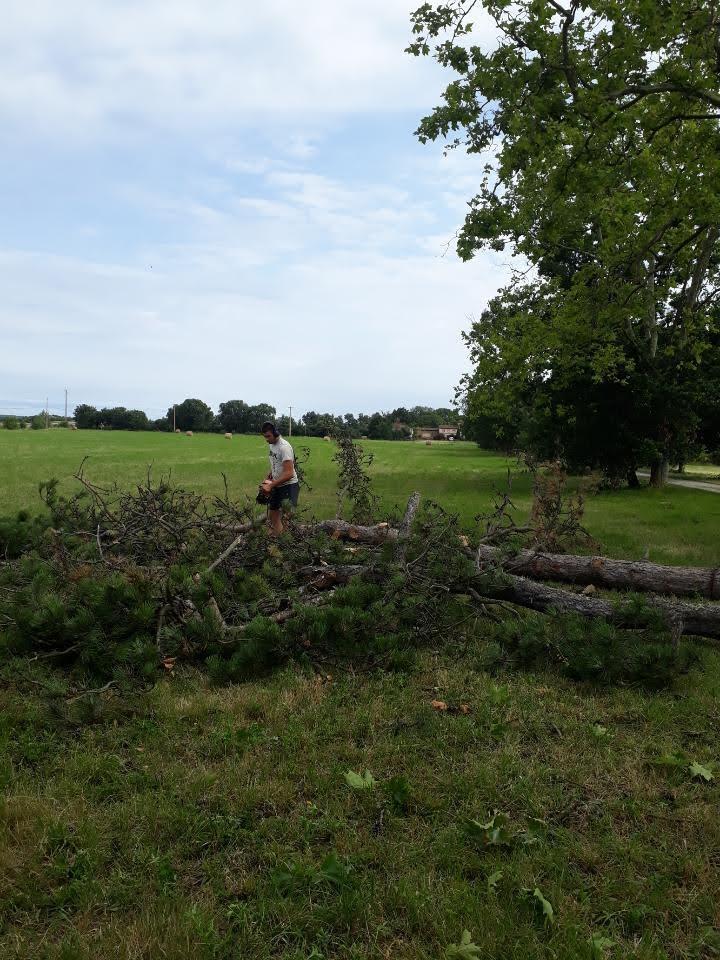 Abattage suite à une tempête Toulouse