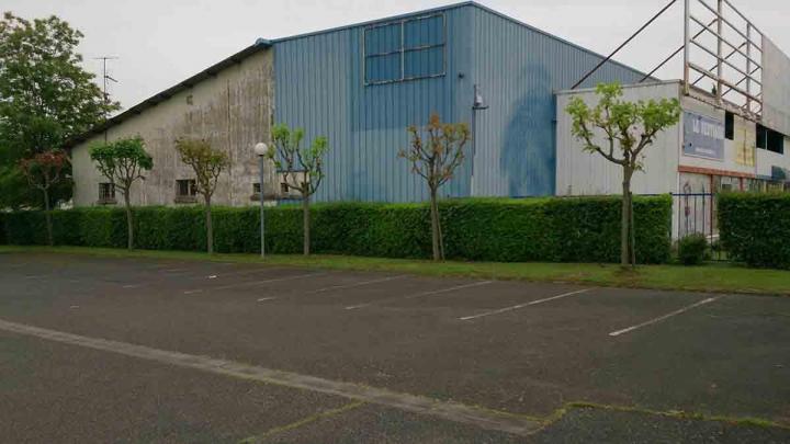 Taille d'arbre d'une école Toulouse