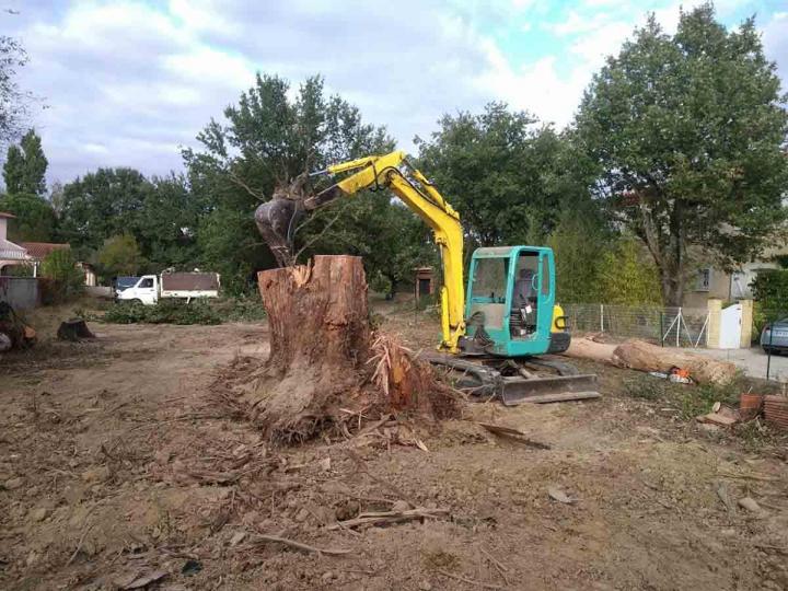 Travaux de dessouchage Toulouse