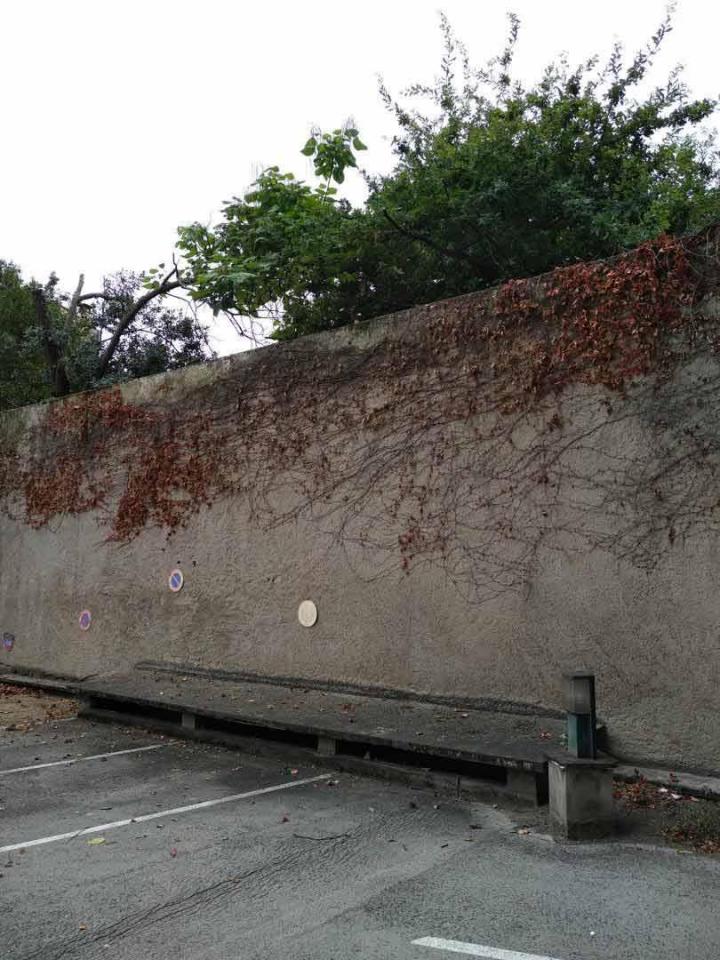 Abattage et taille de haie Toulouse